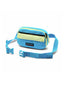 Compass Blue