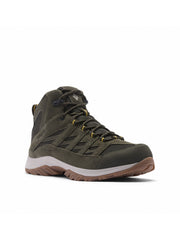 Deep Olive